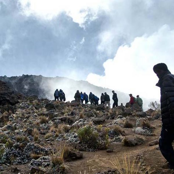 Trekking Rongai Route