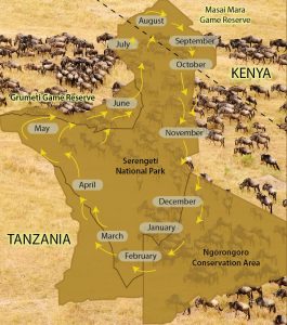 Great Serengeti maasai mara wildebeest migration