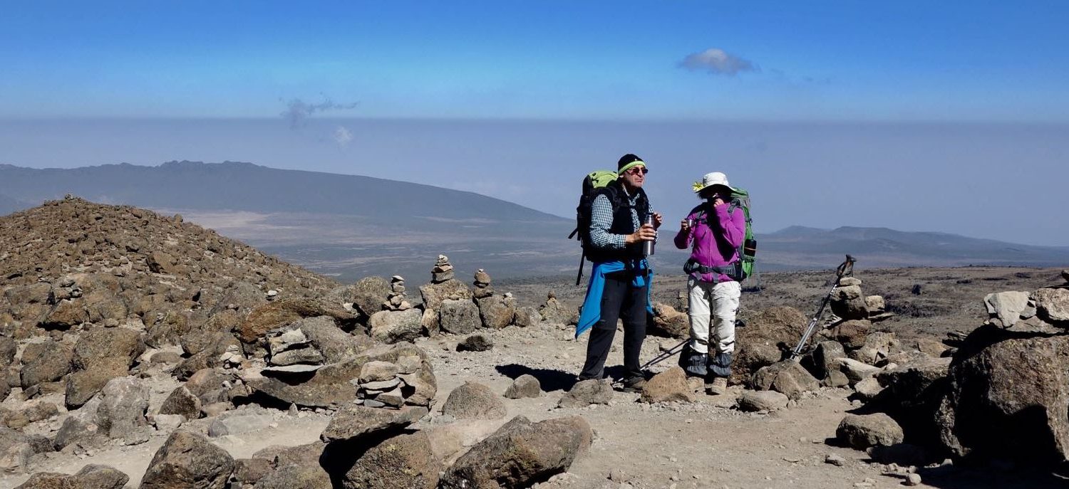 kilimanjaro