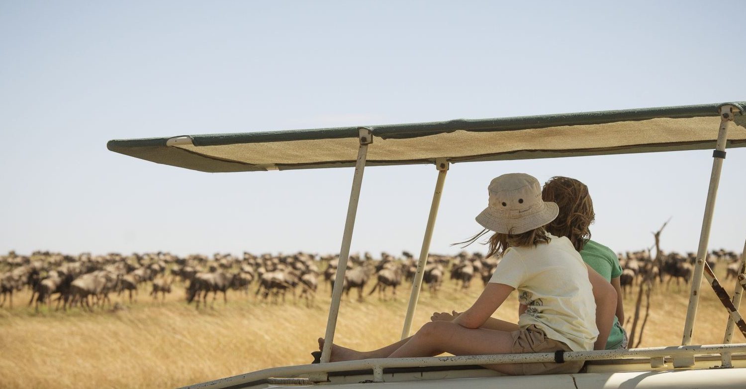 Tanzania safari game drive