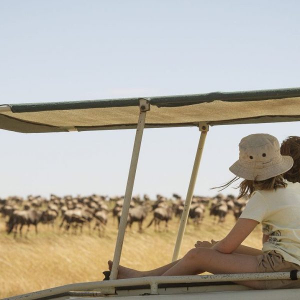 Tanzania safari game drive